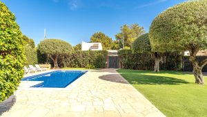 Garden with swimming pool and olive trees